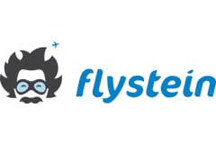 Flystein