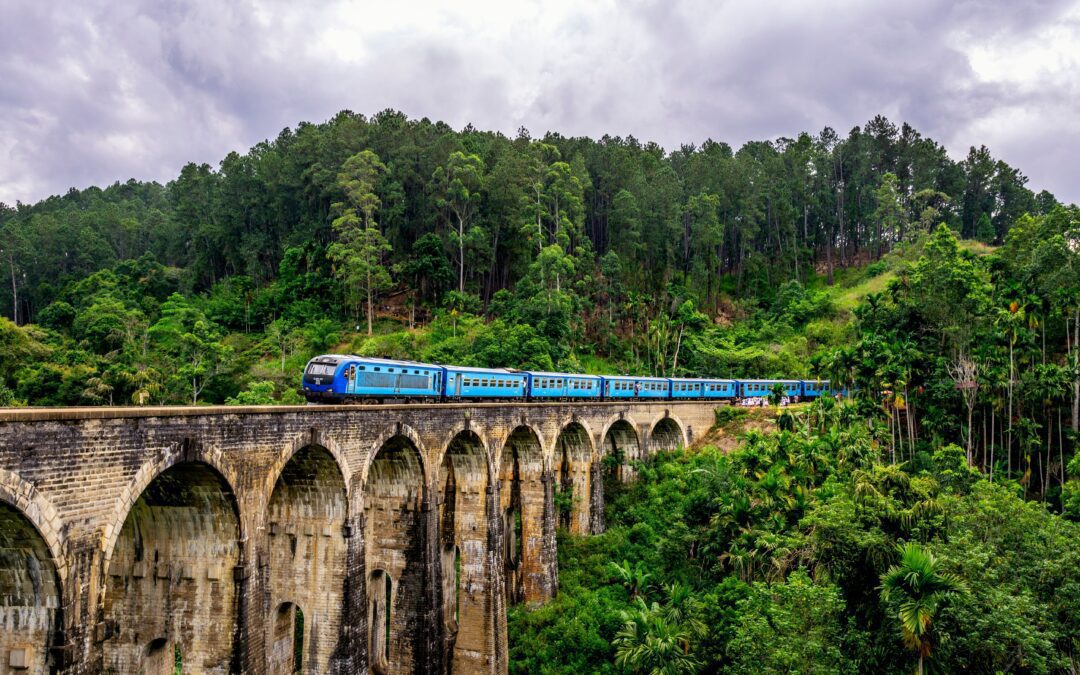 A New Haven For Digital Nomads With Sri Lanka s Digital Nomad Visa a-new-haven-for-digital-nomads-with-sri-lanka-s-digital-nomad-visa