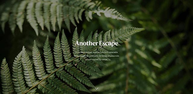 another escape