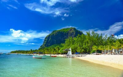 Everything You Need to Know about the Mauritius Premium Visa for Digital Nomads