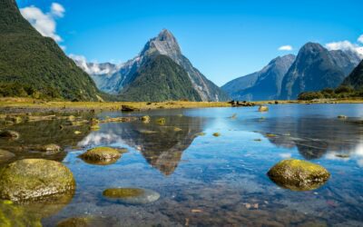 Digital Nomads Down Under: New Zealand Launches Visa